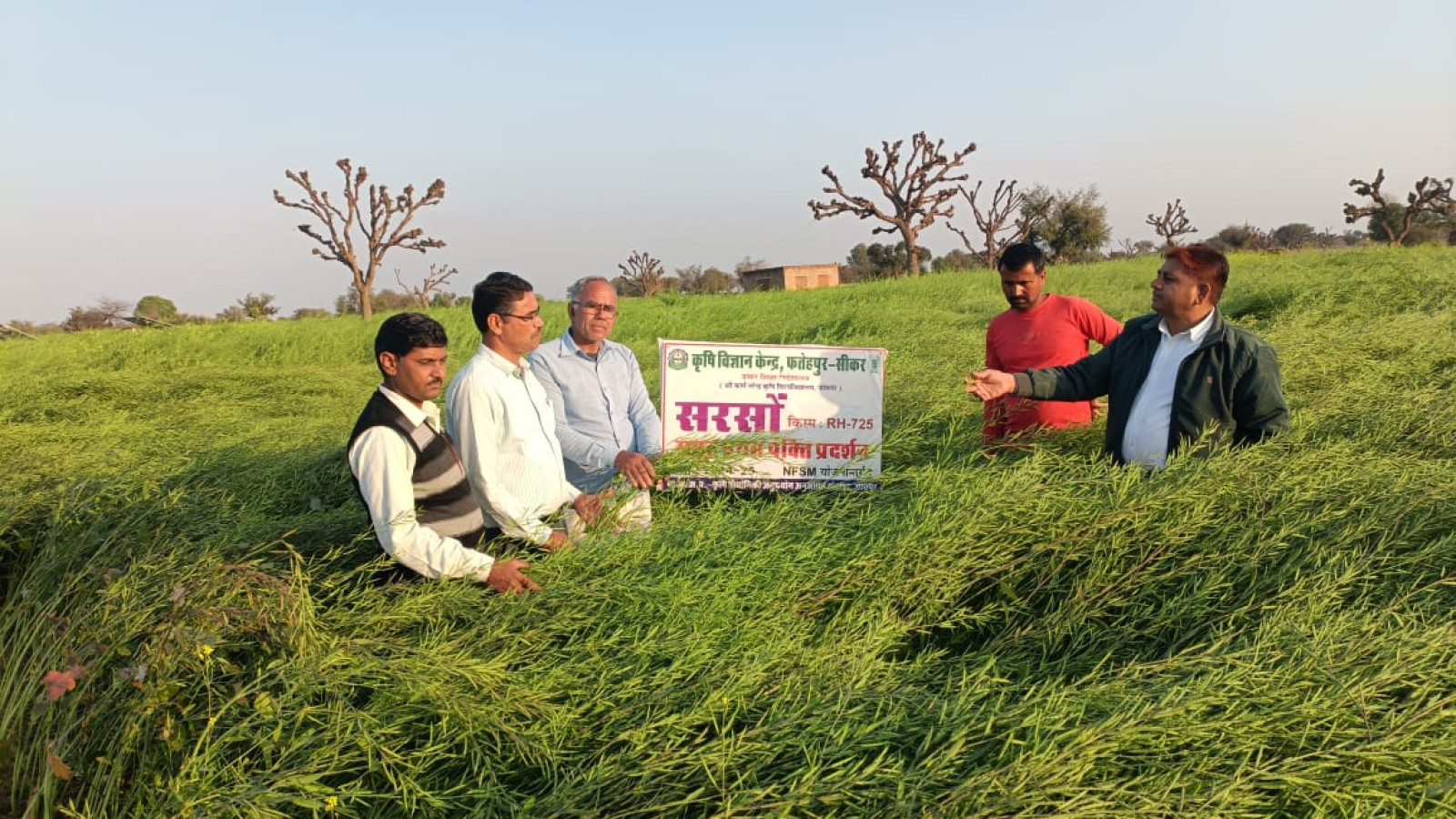 Field visit & monitoring CFLD